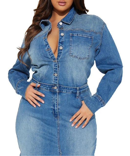 TONY DENIM MAXI DRESS